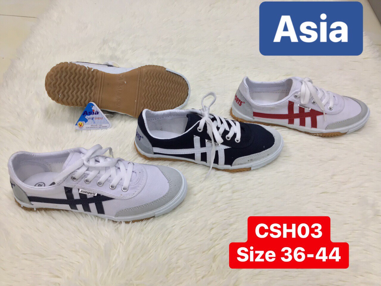 giày asia CSH03 sọc